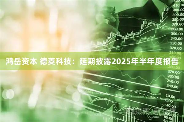 鸿岳资本 德菱科技：延期披露2025年半年度报告